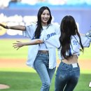 초원 이미지
