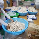사주1리 이미지