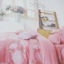 강남-080 이미지