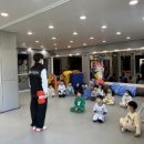 벌원초등학교 이미지