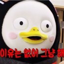 소소하루 이미지