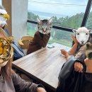 래미안펜션 이미지