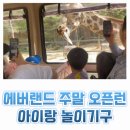 아이랑 에버랜드 주말 오픈런 주차 티켓 할인 준비물 놀이기구 꿀팁
