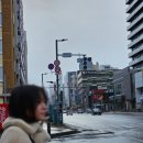 하나카 | [2026 삿포로-2] 비에이 렌트카 여행, 조잔케이 하나모미지 전세탕 덴노유 후기(약간의 후라노 식당, 카페)