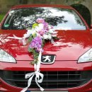 듀비스결혼정보 이미지