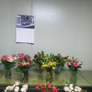 원플라워 이미지