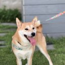 갬성드 애월 이미지