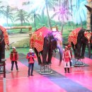 점보빌리지 이미지