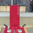 커브스 가경클럽 | [청주] 가경동헬스장 가경동여성운동 가경동여성전용pt 가경커브스클럽 체형분석 후기