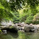 지장산 계곡 아래 이미지