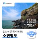 산과바다 이미지
