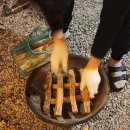 정글펜션 이미지