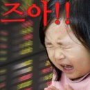 더 찬스 짐 이미지