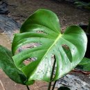 학이농장 이미지