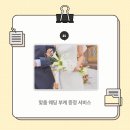제이앤컴퍼니(JN company)