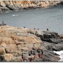 거제갈곶 이미지