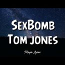 Tom jones /sexbomb 이미지