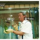 홍익그랑프리미술