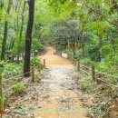 옥련국제사격장 이미지