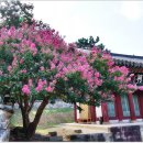 돈암서원 책판 이미지