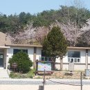 함평나비마을서울캠핑장 이미지