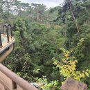 의림지-06 이미지