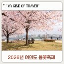 한가득푸드 | 2026 여의도 벚꽃축제 아이랑 다녀온 후기 푸드트럭 먹거리 주차정보