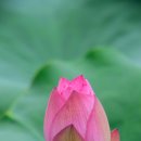 둔촌마음의원 이미지