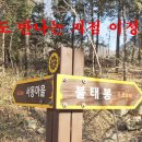 서동경로당 Daum카페