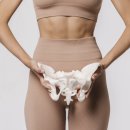 골반교정 필라테스 이미지