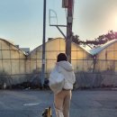 더런드리 서귀포 표선점 이미지