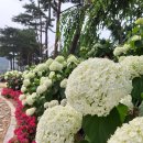 정원주유소 이미지