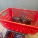 보홀몬스터크랩 알리망오 내돈내산 솔직후기