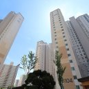 경보 코아 이미지