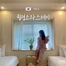 한림읍 월령리마을 | 제주 대가족 펜션 서쪽 오션뷰 숙소 바다 앞 월령소라스테이