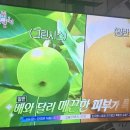 그린시스(Greensis)