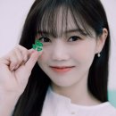 효정세탁소 Daum카페