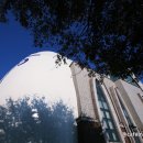 천주교능곡성당 이미지