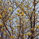 대율리 입구 주차장 이미지