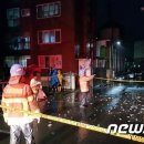 링링 이미지