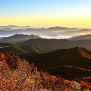 대화세탁소 이미지