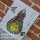 샤인아트 이미지