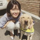 살랑살랑 이미지