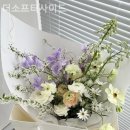 더소프터사이드