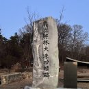 나성동_나성동갈매로 이미지