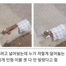 비로소 가을 이미지