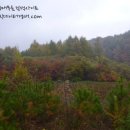 강림면302 이미지