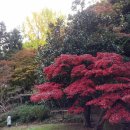 삼계원 이미지