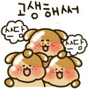 똥글마켓