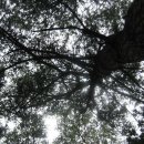 명덕레져 이미지